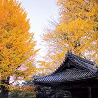 根津神社の写真・動画_image_105108