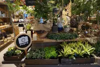 FARMER’SKITCHENの写真・動画_image_105145