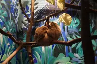 千葉市動物公園の写真・動画_image_105147