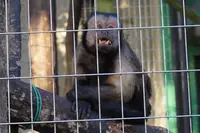 千葉市動物公園の写真・動画_image_105148