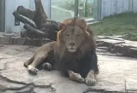 千葉市動物公園の写真・動画_image_105149