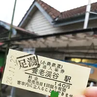 養老渓谷駅の写真・動画_image_105170