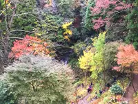 幻の滝の写真・動画_image_105174