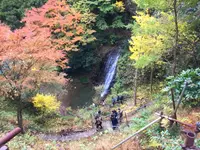 幻の滝の写真・動画_image_105175