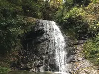 幻の滝の写真・動画_image_105176