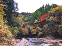 粟又ノ滝の写真・動画_image_105188