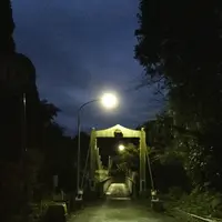 養老渓谷にかかる橋の写真・動画_image_105198