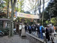 六義園の写真・動画_image_105248