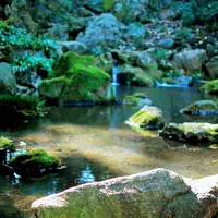 六義園の写真・動画_image_105249