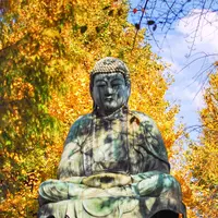 吉祥寺の写真・動画_image_105348