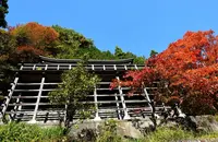 定勝寺の写真・動画_image_105502