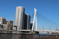 中央大橋の写真・動画_image_105747