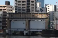 霊岸島水位観測所の写真・動画_image_105751