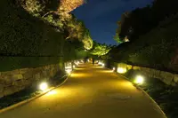 白鳥庭園の写真・動画_image_105783