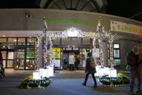 東山動物園の写真・動画_image_105785
