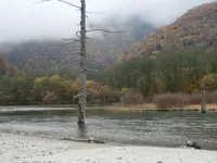 釜山港の写真・動画_image_105976