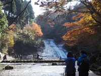 養老渓谷の写真・動画_image_105998