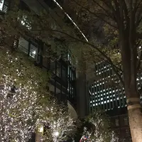 丸の内ブリックスクエア (Marunouchi BRICK SQUARE)の写真・動画_image_106093