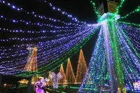 国営木曽三川公園・木曽三川公園センターの写真・動画_image_106102