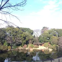 旧古河庭園の写真・動画_image_106149