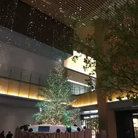KITTE名古屋の写真・動画_image_106167