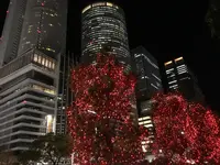 ミッドランドスクエアの写真・動画_image_106170