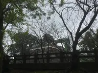 熊本城の写真・動画_image_106199