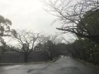 熊本城の写真・動画_image_106201