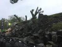 加藤神社の写真・動画_image_106217