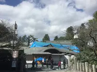 阿蘇神社の写真・動画_image_106233