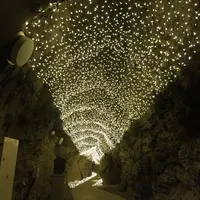 江の島岩屋の写真・動画_image_106360