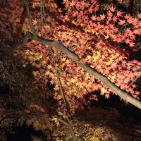 長谷寺の写真・動画_image_106361