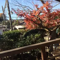 香下庵茶屋の写真・動画_image_106419