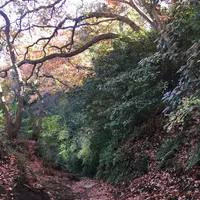 扇ガ谷の写真・動画_image_106423