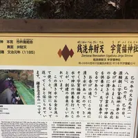 銭洗弁財天 宇賀福神社の写真・動画_image_106424
