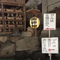 銭洗弁財天 宇賀福神社の写真・動画_image_106426