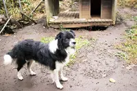 カフェ山猫軒の写真・動画_image_106514