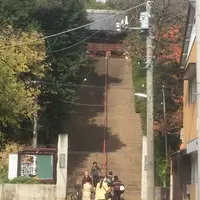 真間山弘法寺の写真・動画_image_106622