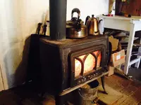 野いばらの実の写真・動画_image_106701
