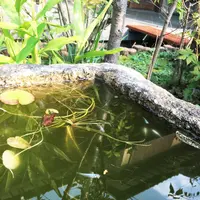 本納寺の写真・動画_image_106748