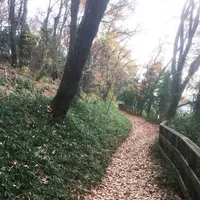 多摩自然遊歩道の写真・動画_image_106879