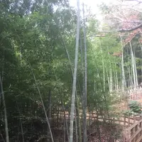 多摩自然遊歩道の写真・動画_image_106880