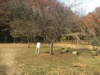 多摩自然遊歩道の写真・動画_image_106881