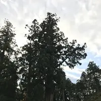 清澄寺の写真・動画_image_106956