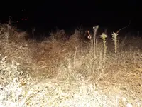 幽霊屋敷の写真・動画_image_107180