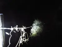 幽霊屋敷の写真・動画_image_107181