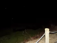 佐倉城址公園の写真・動画_image_107184