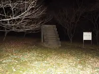 佐倉城址公園の写真・動画_image_107189