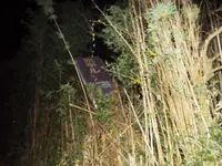 ホテル江戸城の写真・動画_image_107196