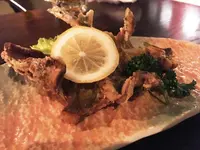 秋田長屋酒場 秋田駅前店の写真・動画_image_107202